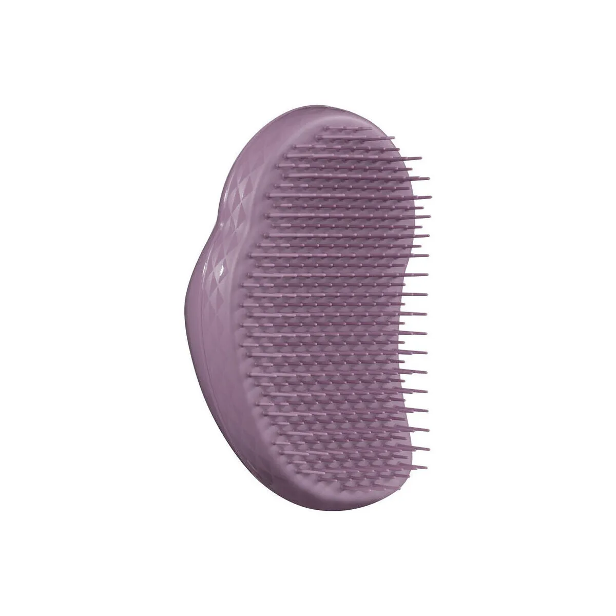 Eco Brush earthy Purple 1