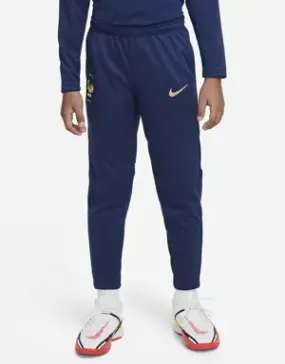 Nike FFF Academy Pro