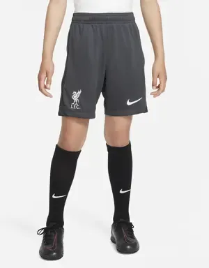 Nike Liverpool FC Academy Pro