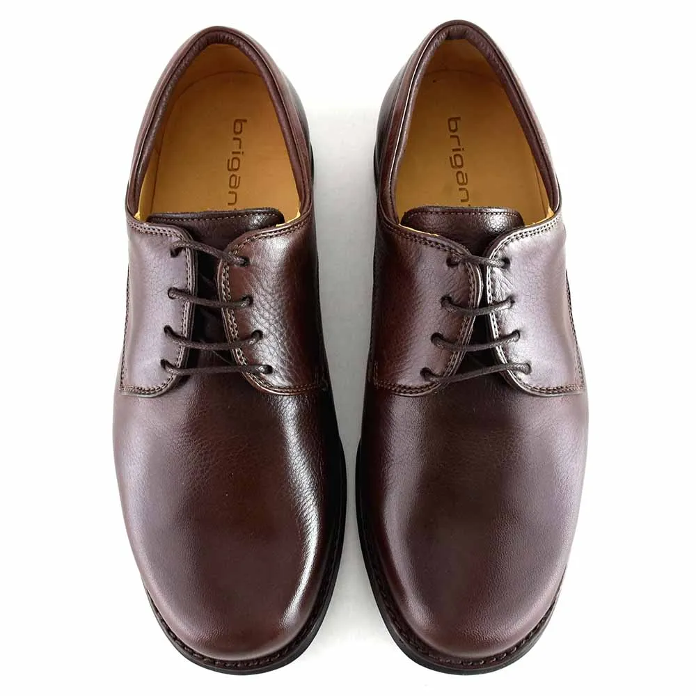 ZAPATO AVEIRO MARRON